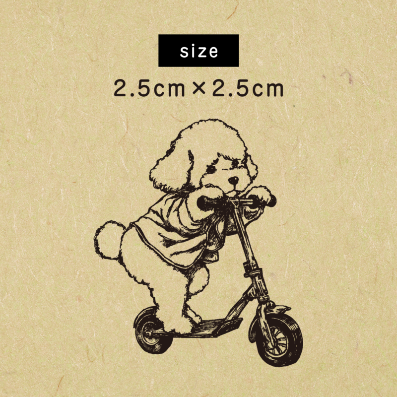S-737